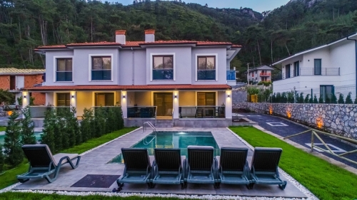 Villa Palmea 2 Çamlı Köyü